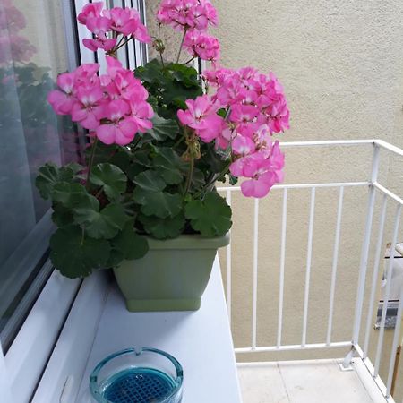 Zenit Apartman Makó 외부 사진