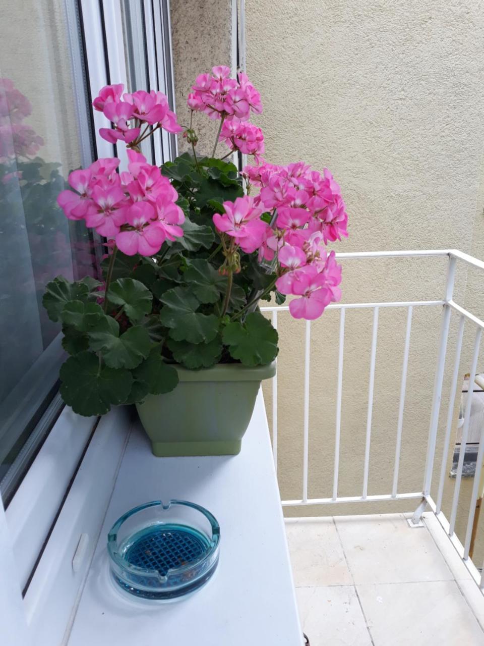 Zenit Apartman Makó 외부 사진